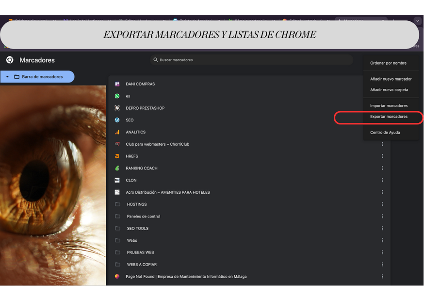EXPORTAR MARCADORES Y LISTAS DE CHROME 1